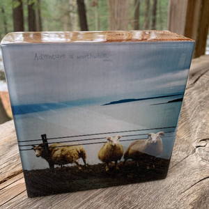 sheep, iceland... resin on wood