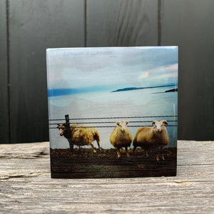 sheep, iceland... mini resin on wood
